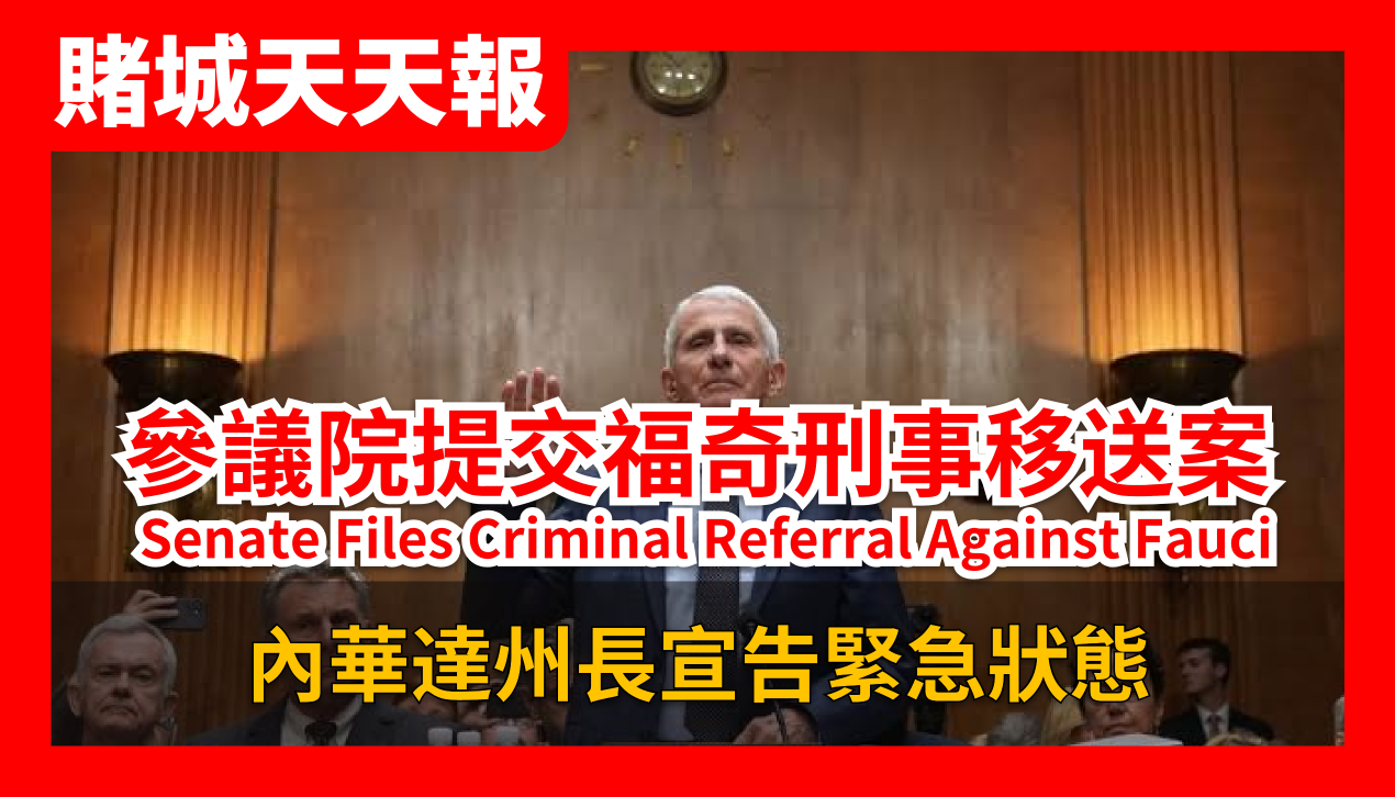 08月11日2026年AI視頻新聞報導