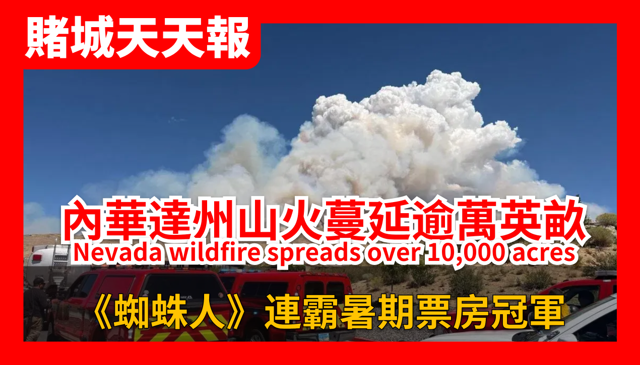 08月24日2026年AI視頻新聞報導